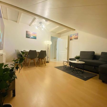 Deluxe Business Suite Mit Netflix Premium & Parkplatz, Zentral Zu Audi & Schwarz Gruppe With 2 Bedrooms Bad Friedrichshall Luaran gambar