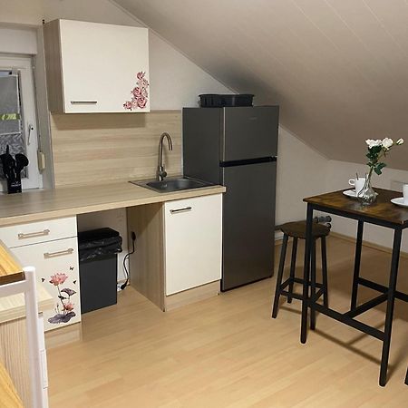 Deluxe Business Suite Mit Netflix Premium & Parkplatz, Zentral Zu Audi & Schwarz Gruppe With 2 Bedrooms Bad Friedrichshall Luaran gambar